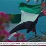 الإمارات تتقدم إلى المرتبة 16 عالمياً في مؤشر الدعم الحكومي بالتنافسية العالمية