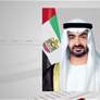 رئيس الدولة يعزي أمير قطر بوفاة عدد من الدبلوماسيين من الوفد القطري
