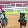 هيئة الامارات لسباق الخيل تعلن تفاصيل " السباق التجريبي " الخامس بمضمار ميدان