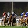 "دبي لسباق الخيل" يستكمل ترتيباته لاستقبال نخبة "الفرسان والملاك" في كأس دبي العالمي