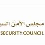 التأمين السيبراني.. ركيزة أساسية لتعزيز الأمن الرقمي في الإمارات