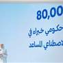 القرقاوي: المنظومة الجديدة للعمل الحكومي توجه إستراتيجي لتحقيق رؤية القيادة ببناء أفضل حكومة ودولة في العالم