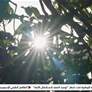 رئيس الدولة يستقبل وفد منصة اصنع في الإمارات