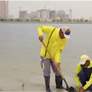 شجرة القرم في الامارات ...ركيزة اساسية في استراتيجيات المناخ والاستدامة