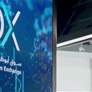 24.6  مليار درهم توزيعات أرباح الشركات المُدرجة التابعة لـ"أدنوك" في 2024