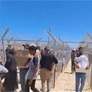 مقتل 24 فلسطينيا جراء استهداف مركز للمساعدات قرب رفح