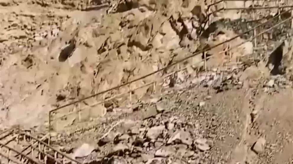 محمية الوريعة .. بيئة حاضنة للطيور النادرة والمهاجرة
