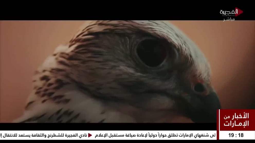 نادي الفجيرة للشطرنج والثقافة ينشر فيلماً ترويجياً لمقره الجديد