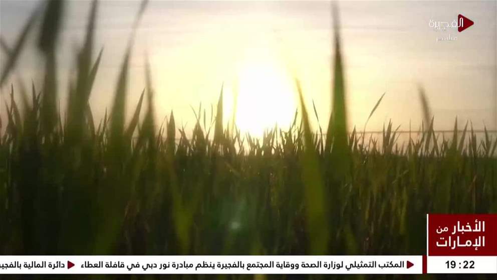 الزراعة الذكية في الإمارات..مستقبل أخضر بكفاءة عالية