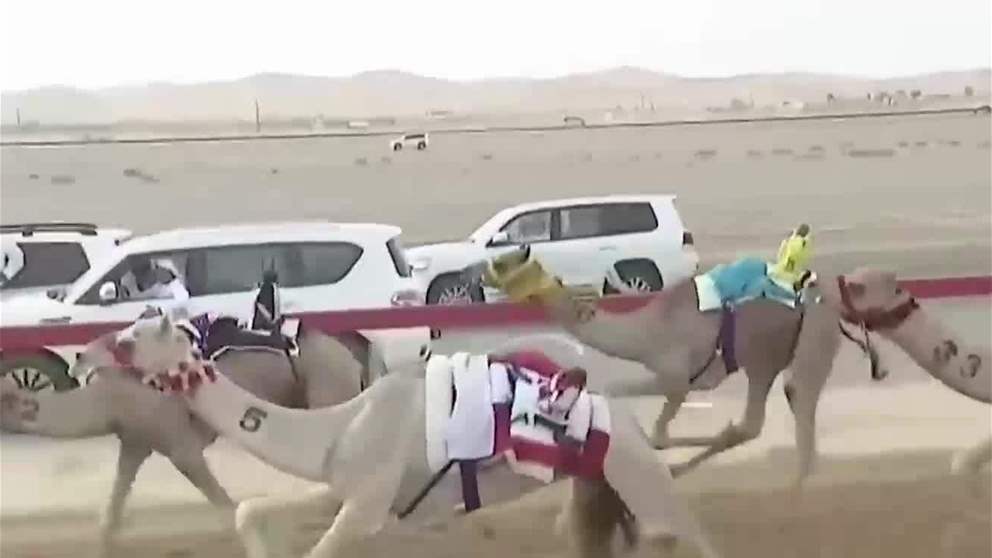 انطلاقة قوية لمنافسات الحقايق بمهرجان العين لسباقات الهجن