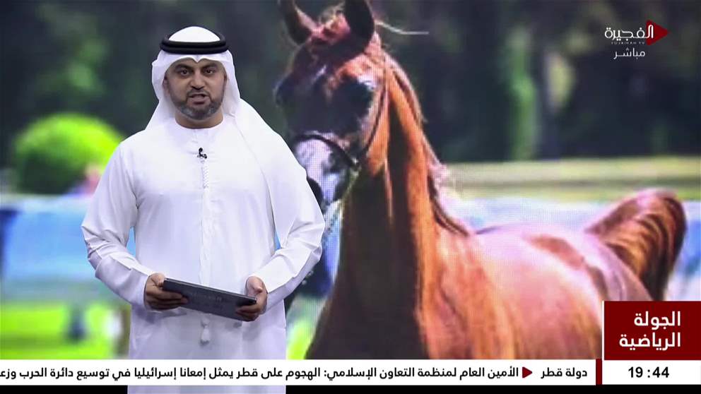 ختام مثير للجولة الـ7 لكأس الإمارات العالمي لجمال الخيل العربية بأمريكا