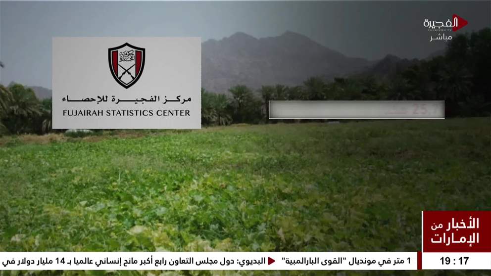 الزراعة في الفجيرة.. ركيزة استراتيجية للأمن الغذائي والتنمية المستدامة