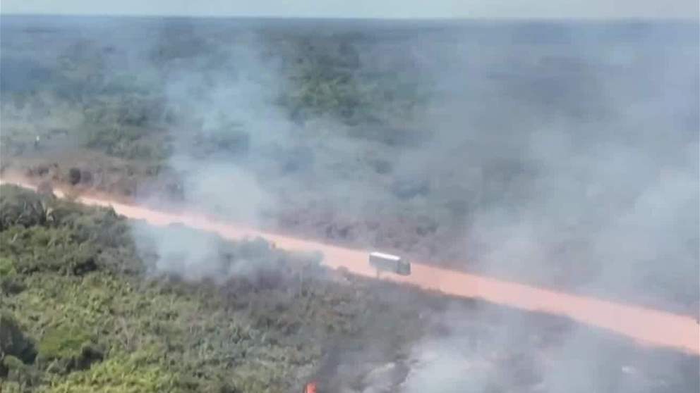 غرائب وطرائف | تراجع إزالة الغابات في الامازون بنسبة 11 % على أساس سنوي