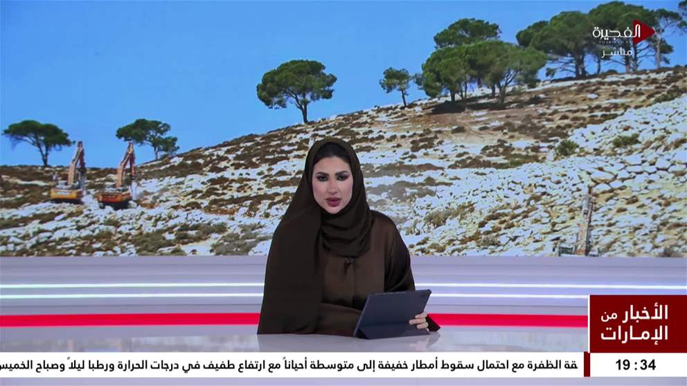 إسرائيل تقتلع 49 ألف شجرة في الضفة الغربية