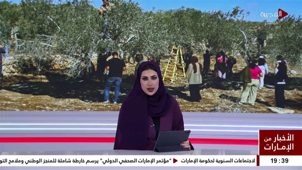 مستوطنون يقتلعون ويحطمون مئات الاشجار شمالي الضفة