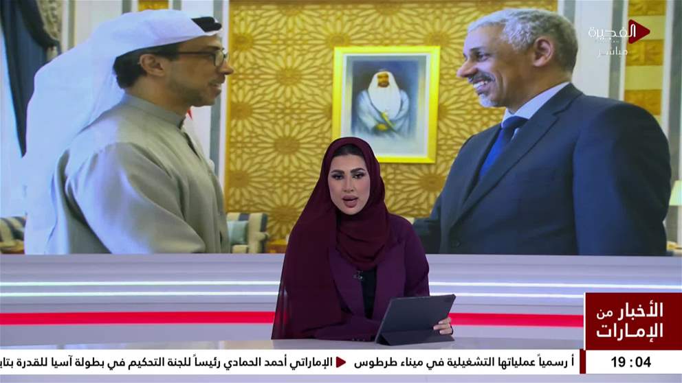 منصور بن زايد يستقبل مدير عام المصرف العربي للتنمية الاقتصادية في افريقيا