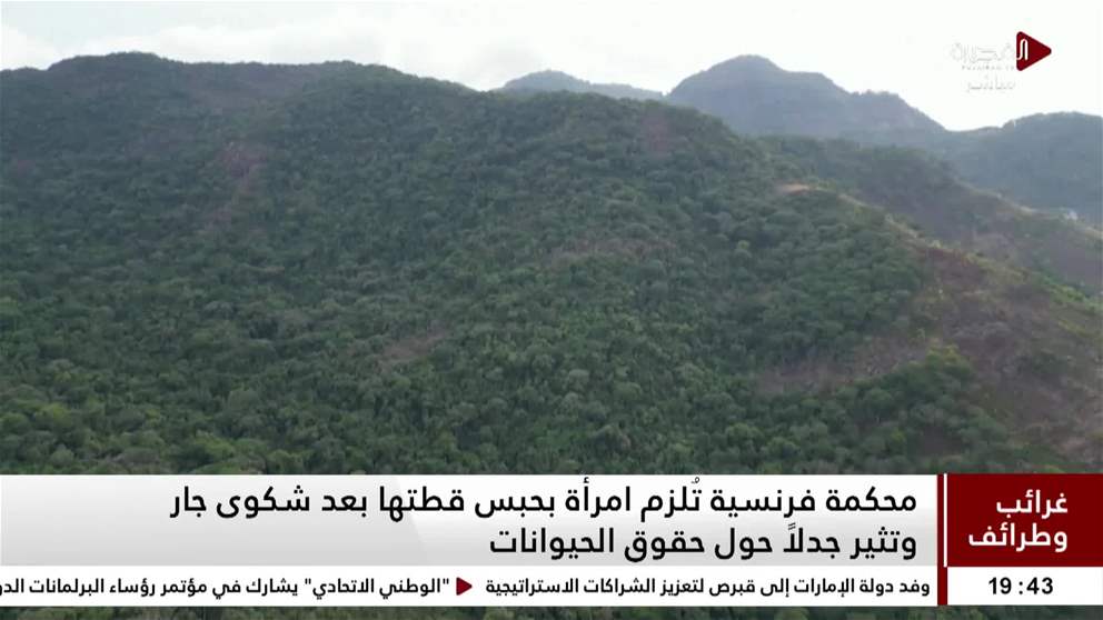 اليابان تسمح للشرطة باستخدام الأسلحة النارية لمواجهة انتشار الدببة