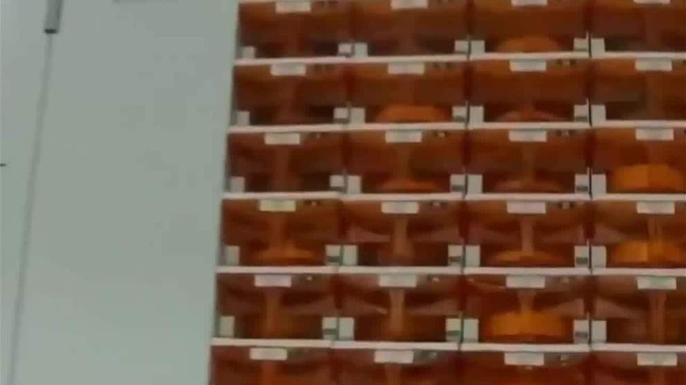 "جي 42" تحصل على موافقة الولايات المتحدة لتصدير شرائح الذكاء الاصطناعي المتقدّمة