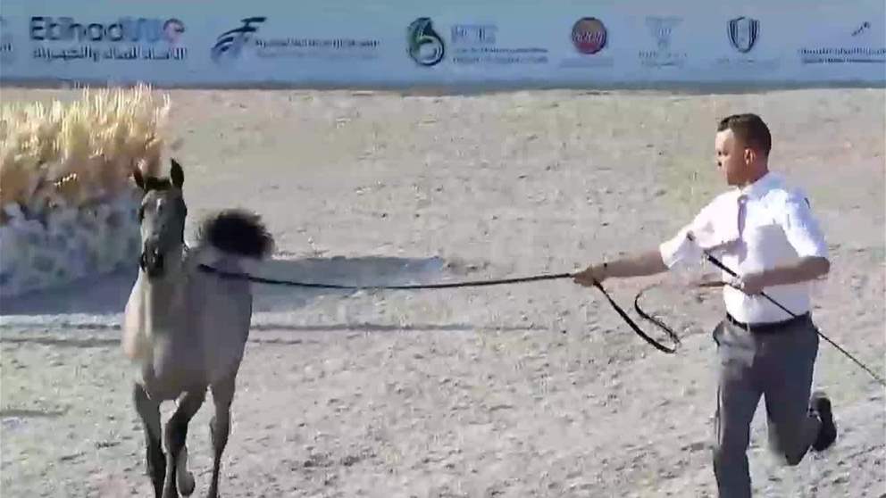 بطولة الفجيرة الدولية للخيل العربي ترفع وتيرة التنافس في يومها الثاني