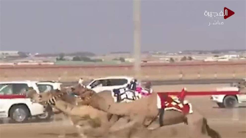 الهدة "تتصدر أول أشواط "الحول" بمنافسات جائزة زايد الكبرى للهجن