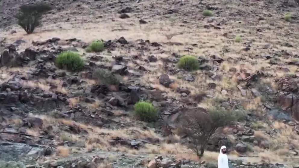 السياحة الشتوية في الإمارات ..تجارب تنبض بالحياة والثقافة