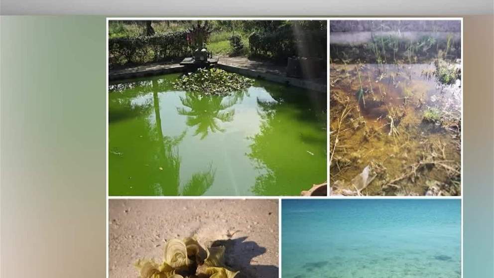 علماء في "نيويورك أبوظبي" يطورون أداة مبتكرة تدعم حلول الطاقة النظيفة