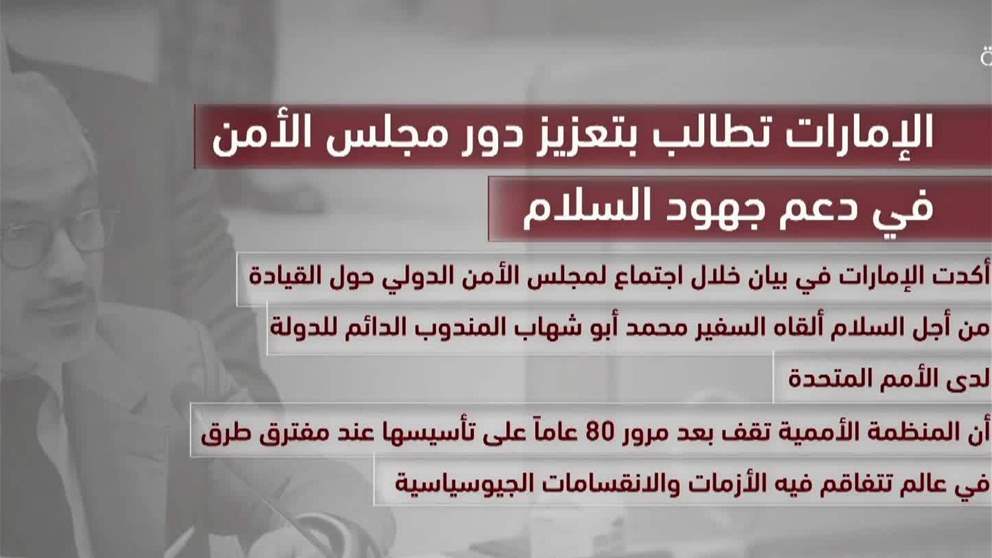 الامارات تطالب بتعزيز دور مجلس الامن في دعم جهود السلام