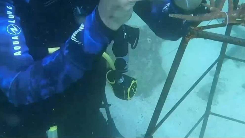 الفجيرة توظّف برامج علمية لرصد النظم البيئية البحرية