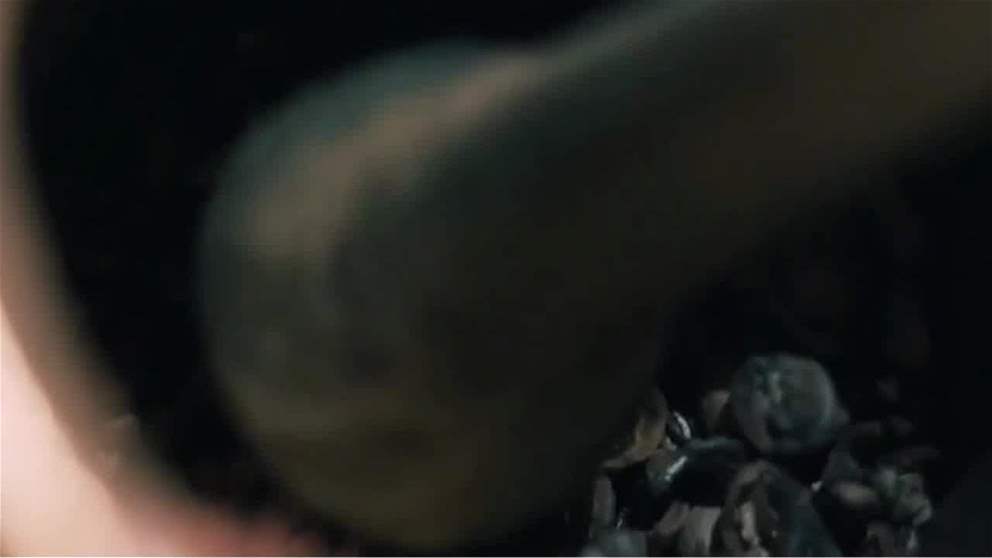 حصاد الإمارات 2025 ..مشهد ثقافي مزدهر بالمبادرات والإنجازات المعرفية