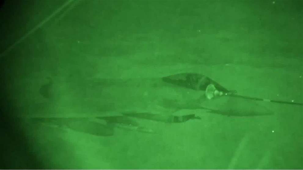 هجوم بريطاني فرنسي مشترك ضد داعش في سوريا