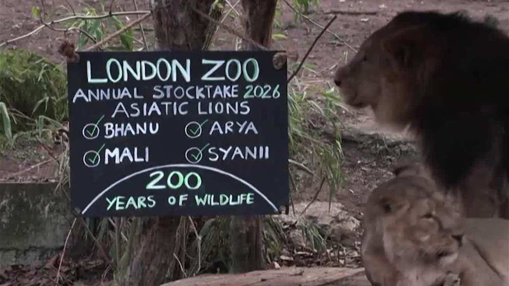 غرائب وطرائف | حديقة حيوان لندن تحتفل بمرور 200 عام على العد السنوي للحيوانات
