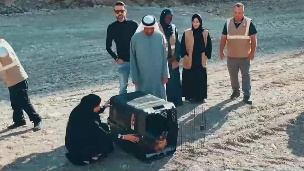 حُوَّام العسل الشرقي ينطلق من محمية الوريعة بالفجيرة بعد تعافيه