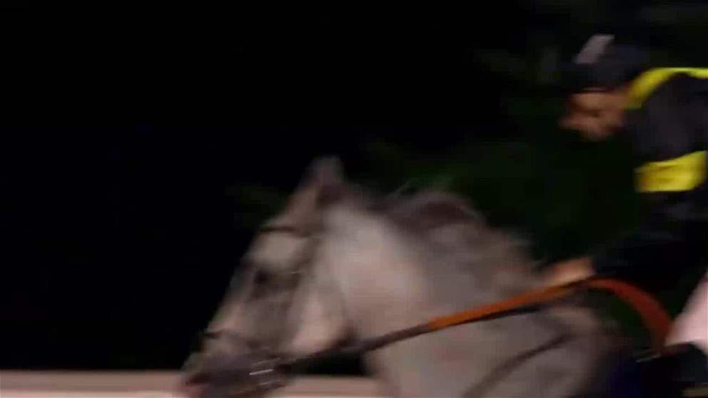 7 أشواط للخيول في كأس أبوظبي الذهبي جوائزها 5 ملايين درهم