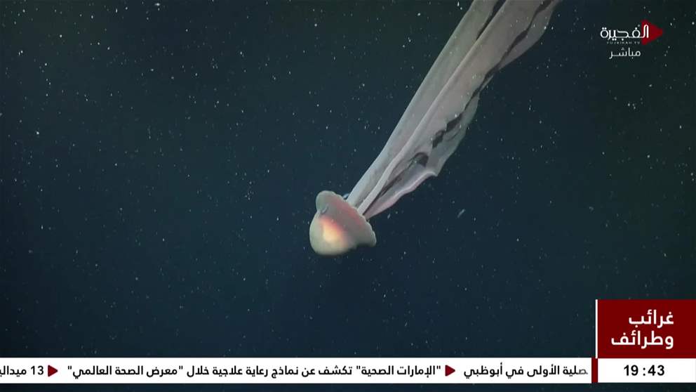 طوكيو تفتتح اول منتزه ترفيهي دائم لعالم بوكيمون