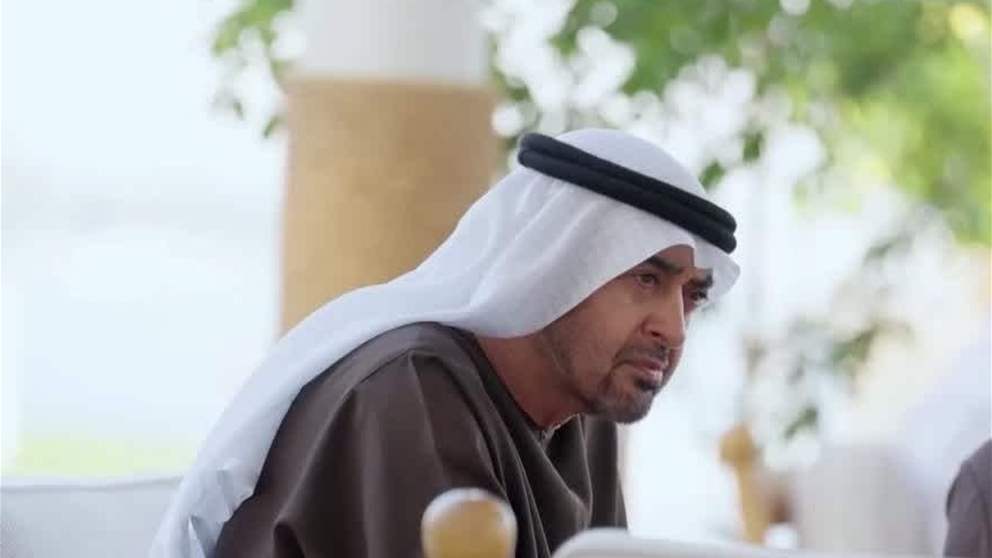 رئيس الدولة يستقبل ناصر بن حمد آل خليفة