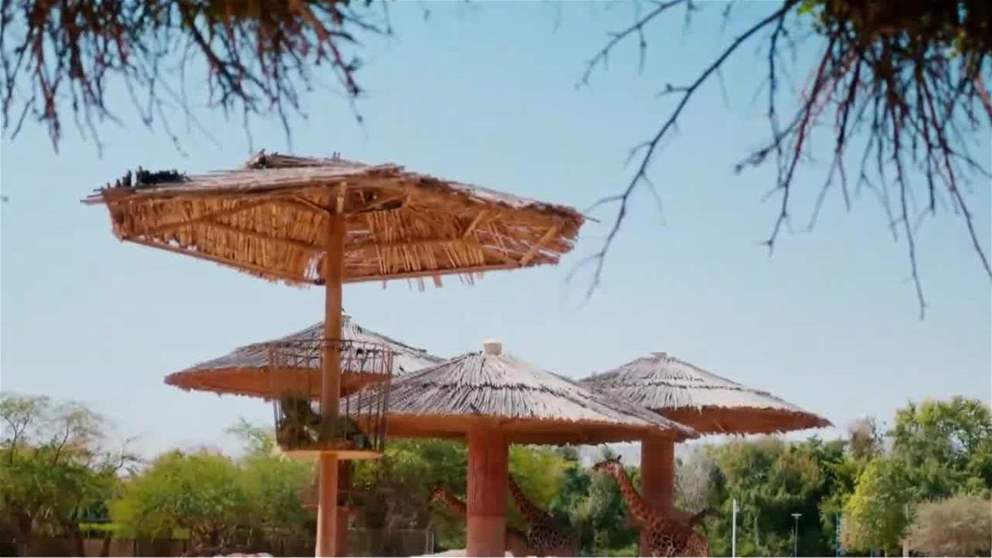 زايد لأصحاب الهمم تنظم المعرض الطلابي مرسم حر 2026