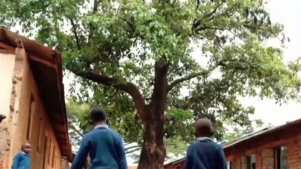 الإمارات الثانية عالمياً في قدرات الذكاء الاصطناعي