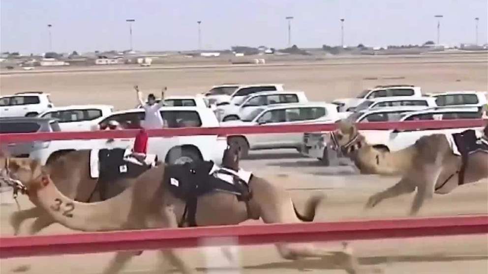 "سرابه" و"القرم" يحصدان كأس وبندقية اللقايا في "ختامي الوثبة 2026" للهجن