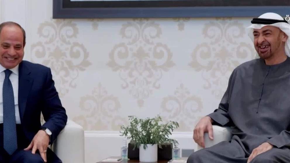 رئيس الدولة والرئيس المصري يبحثان علاقات التعاون والتطورات الإقليمية