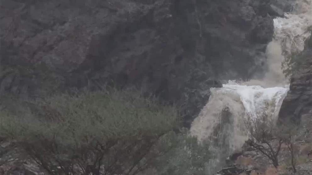 الإمارات.. ريادة مستدامة في إدارة المياه