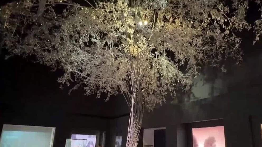 متحف زايد الوطني يدرج ضمن قائمة مجلة " تايم " لآعظم الاماكن في العالم لعام 2026