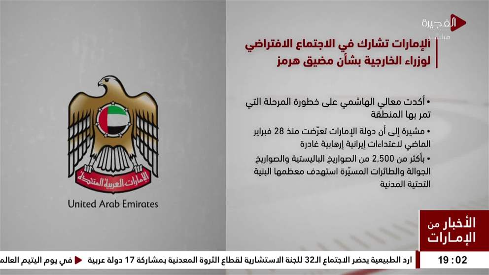 الإمارات تشارك في الاجتماع الافتراضي لوزراء الخارجية بشأن مضيق هرمز