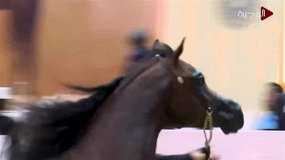 القرقاوي يتوج دي سيراج الفائز بالشوط الرئيسي ببطولة دبي للجواد العربي