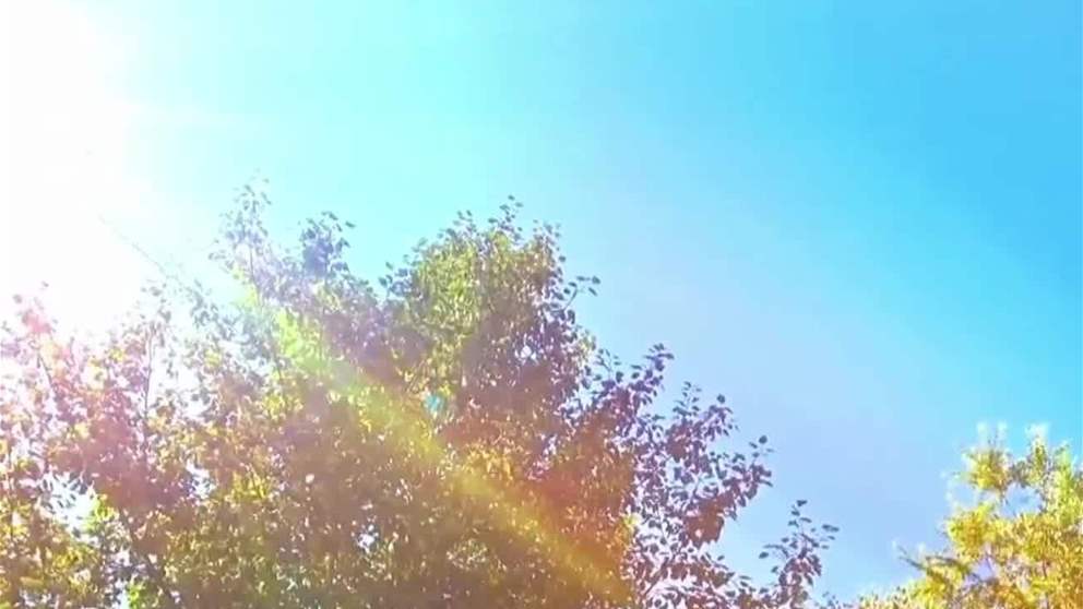 الامارات في 2026 .. مشاريع واستثمارات عالمية تمهد الطريق لمستقبل الطاقة النظيفة