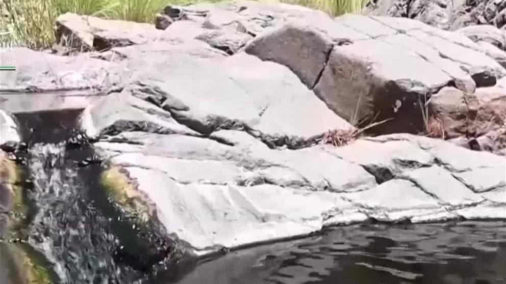 الأمطار الموسمية تعزز الموارد المائية في محمية وادي الوريعة بالفجيرة