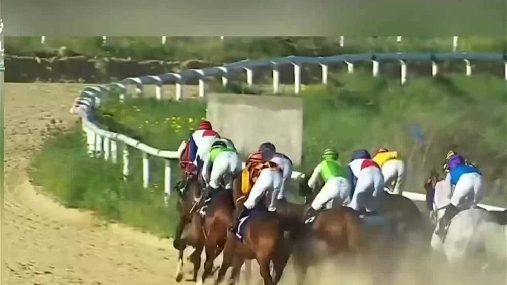 انطلاقة قوية لكأس رئيس الدولة للخيول العربية في تونس