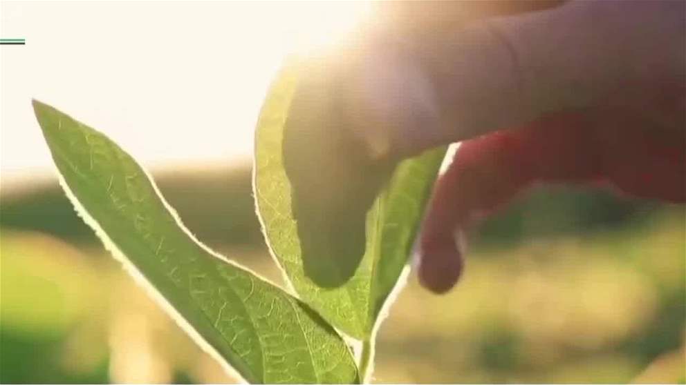 الامارات مركز للابتكار الزراعي وتعزيز الامن الغذائي