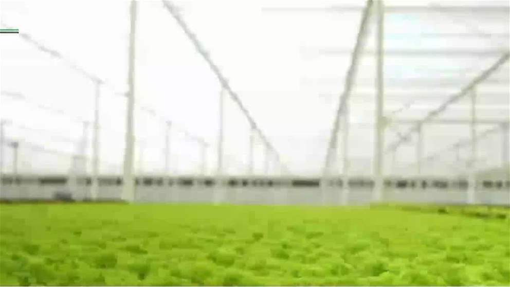 الامارات ترسخ ريادتها في الامن الغذائي عبر الابتكار والاستدامة