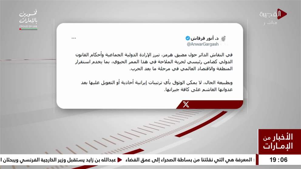 د. أنور قرقاش