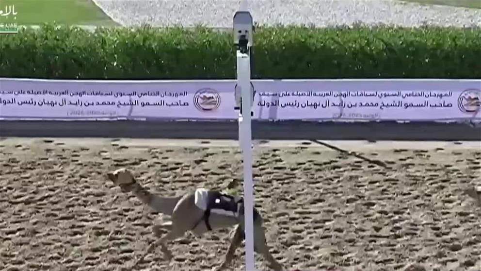 انطلاق منافسات ختامي الوثبة 2026 لسباقات الهجن العربية الأصيلة